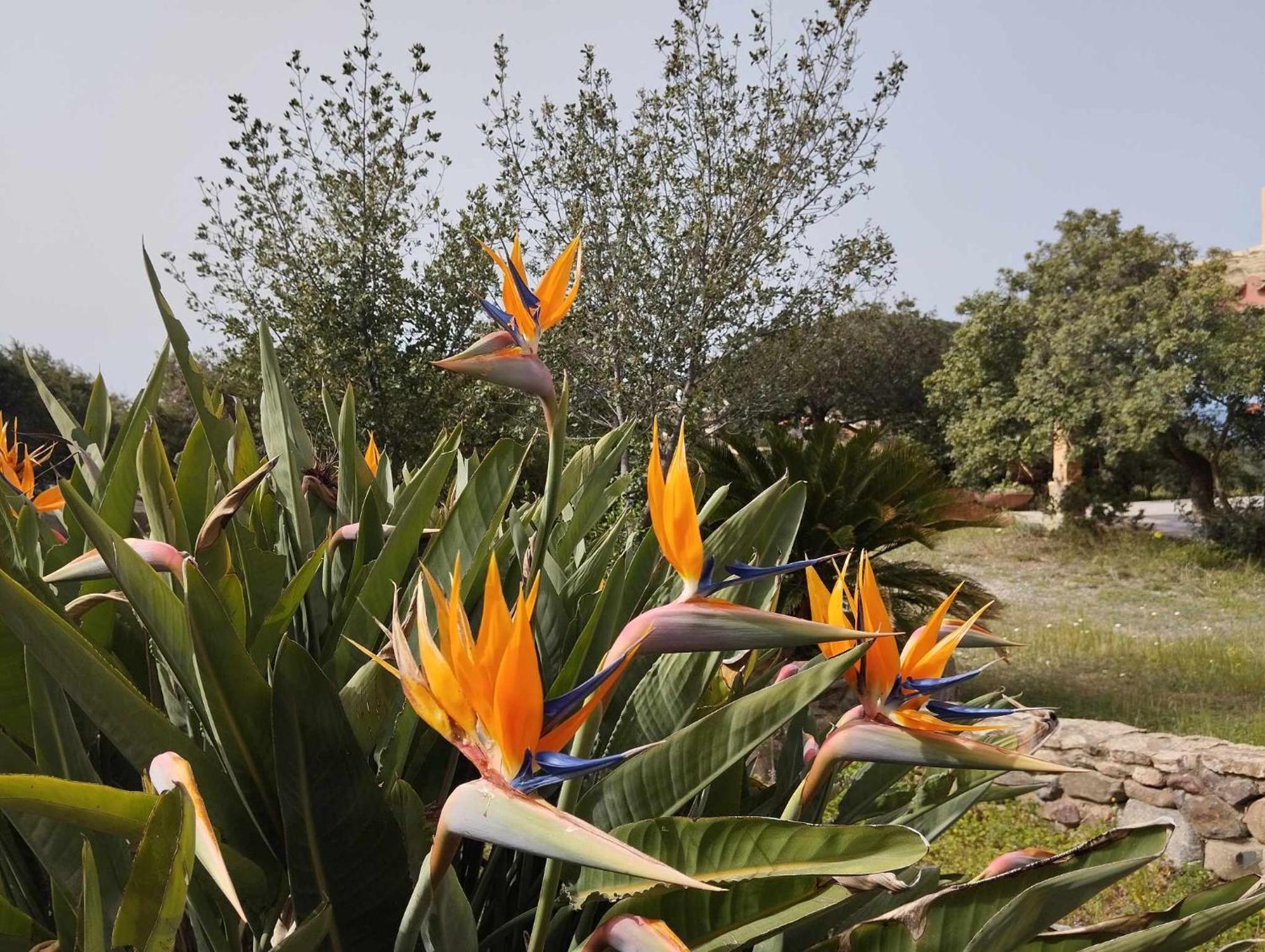 Holiday Home Riccio Di Mare Sardinia Marongiu المظهر الخارجي الصورة