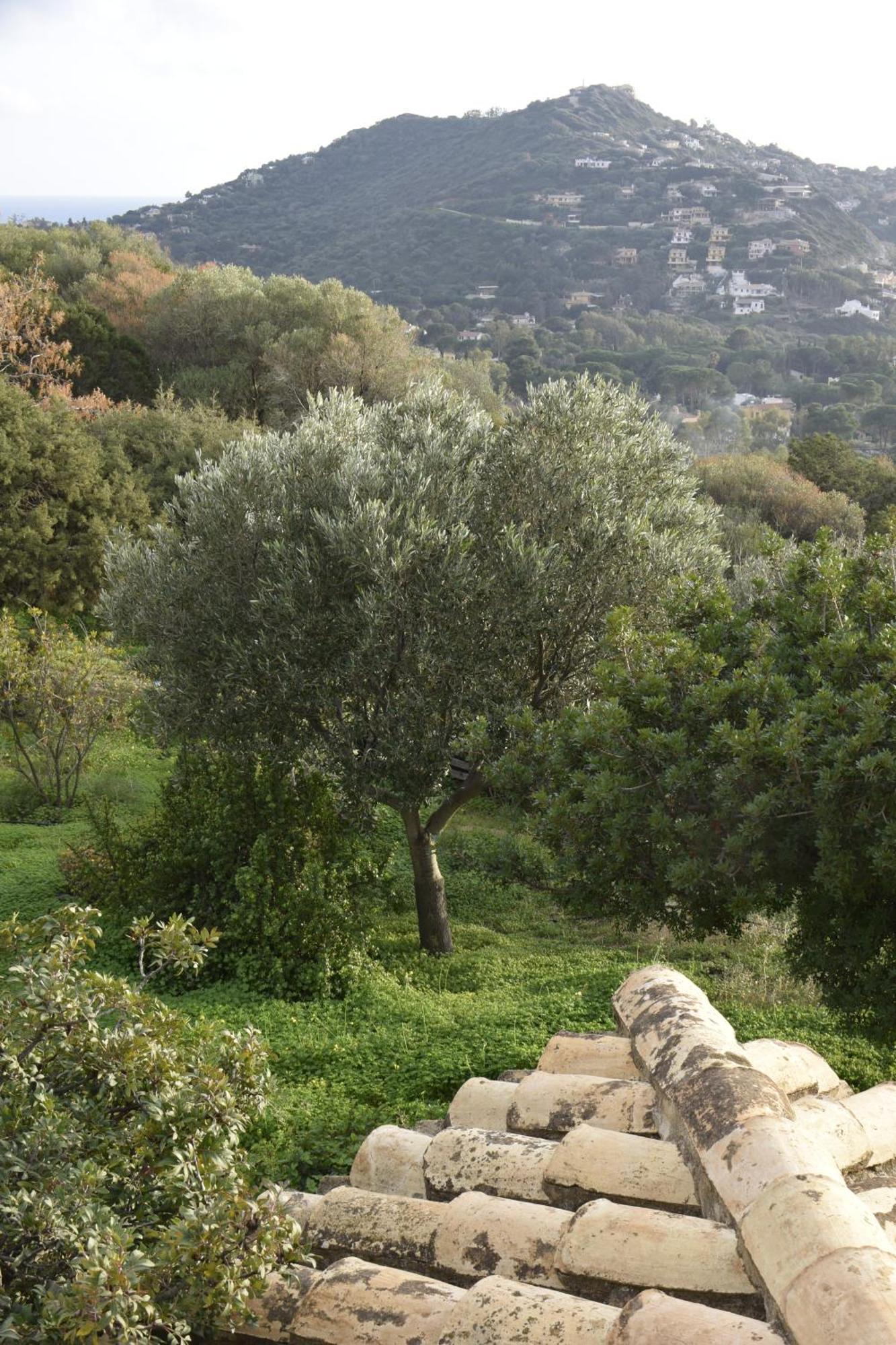 Holiday Home Riccio Di Mare Sardinia Marongiu المظهر الخارجي الصورة